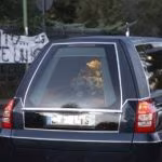 rossi3_MGTHUMB-INTERNA