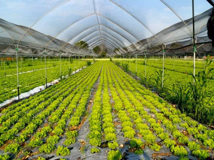 Assobenefit e AssoBio insieme per promuovere la sostenibilità integrale