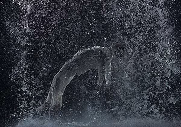Purification, le opere di Bill Viola a Palazzo Reale di Palermo
