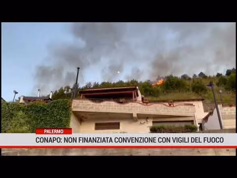 Palermo. Incendi