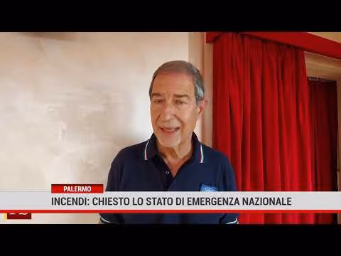 Incendi: chiesto lo stato di emergenza nazionale