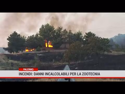 Incendi: danni incalcolabili per la zootecnia