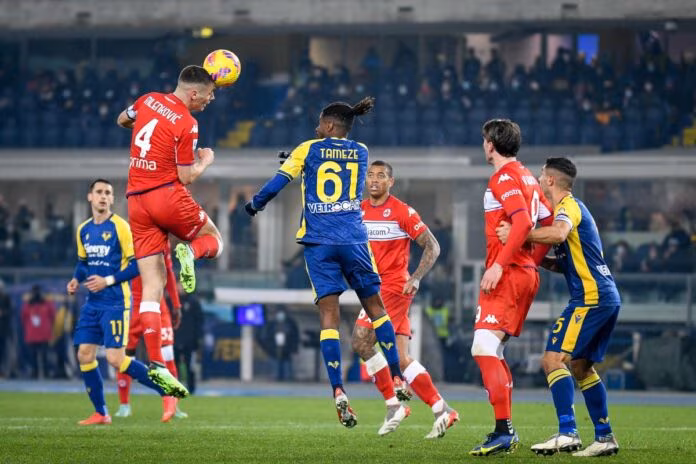 Lasagna e Castrovilli, Verona-Fiorentina 1-1