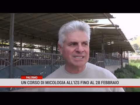 Palermo, un corso di micologia all’Istituto zootecnico siciliano fino al 28 febbraio