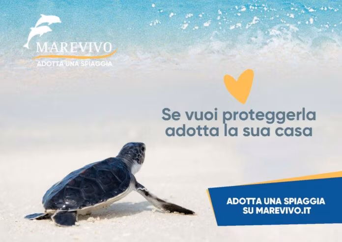 Riparte la campagna nazionale di Marevivo “Adotta una spiaggia”