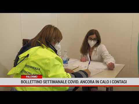 Palermo. Bollettino settimanale Covid