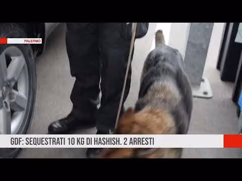 Palermo. Gdf: sequestrati 10 kg di hashish