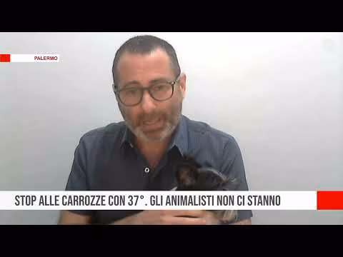 Palermo Stop alle carrozze con 37°