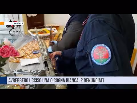 Marsala. Avrebbero ucciso una cicogna bianca