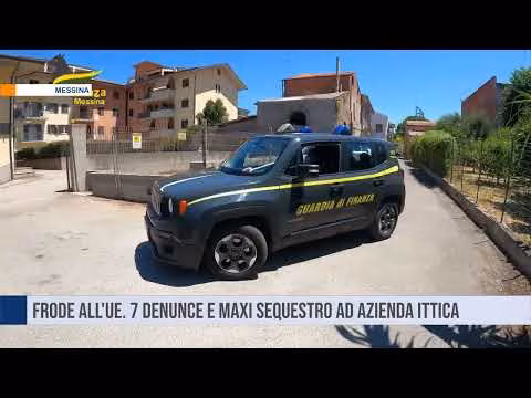 Messina. Frode all'Unione Europea, sette denunce e maxi sequestro a una azienda ittica.