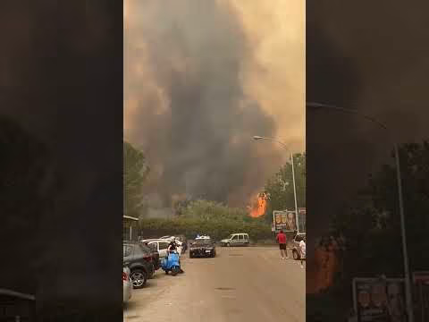 Temperature roventi ed incendi in diverse zone di Palermo