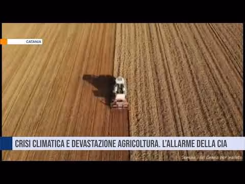 Catania. Crisi climatica e devastazione agricoltura