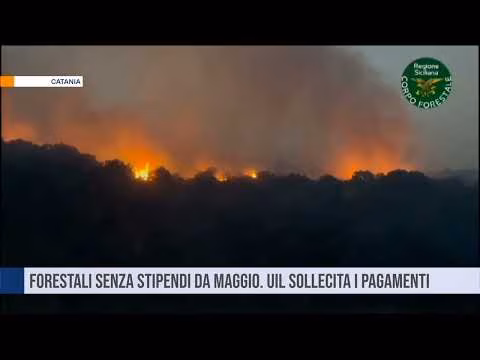 CATANIA.Forestali senza stipendi da maggio