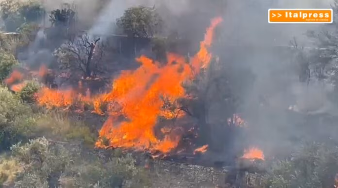 Gli incendi devastano Palermo e la Provincia