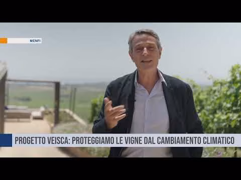 Un progetto per proteggere i vigneti di Menfi