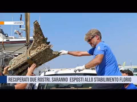 Levanzo. Recuperati due rostri