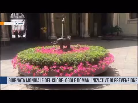 Catania. Giornata mondiale del cuore