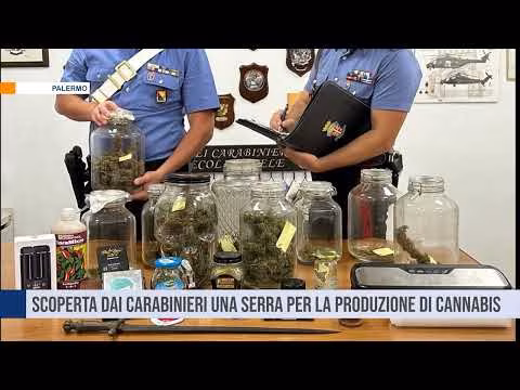 Scoperta dai Carabinieri, a Pioppo, una serra per la produzione di cannabis
