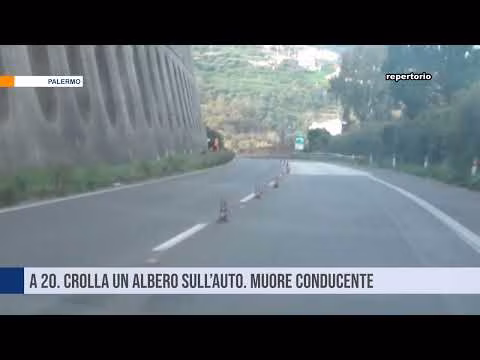 A20. Crolla un albero sull’auto