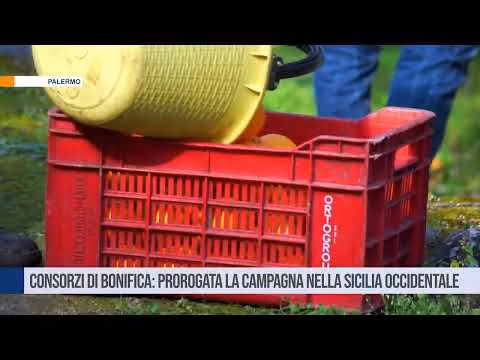 Consorzi di Bonifica: prorogata la campagna irrigua nella Sicilia Occidentale
