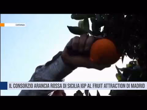 Il Consorzio Arancia Rossa di Sicilia IGP al Fruit Attraction di Madrid