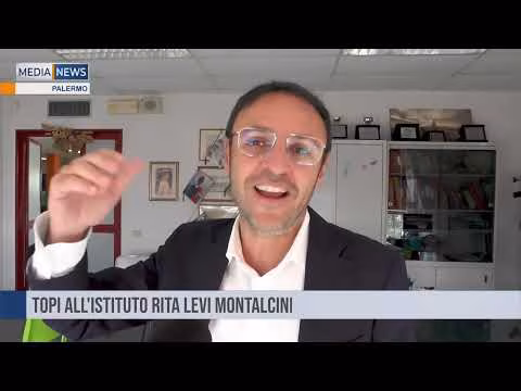 MEDIANEWS 28 10 2023 Prima edizione