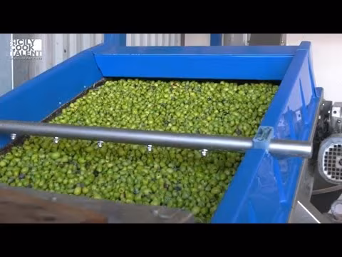 SICILY COOK TALENT | PUNTATA 6 - Unione Produttori Olivicoli Sicilia