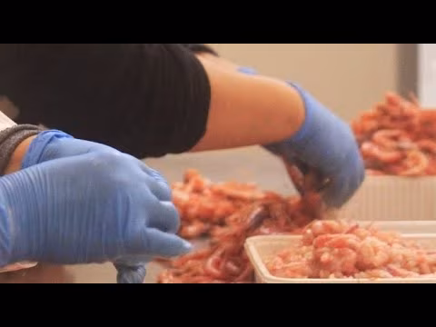 SICILY COOK TALENT PUNTATA 8 - ALGELA FISH