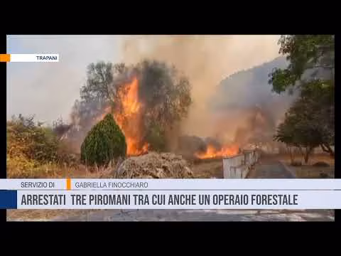 Trapani, arrestati tre piromani tra di loro anche un operaio forestale