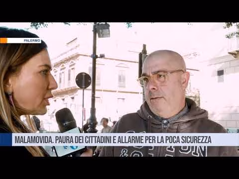 Palermo. Malamovida