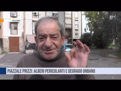 Piazzale Prizzi a Palermo: alberi pericolanti e degrado urbano