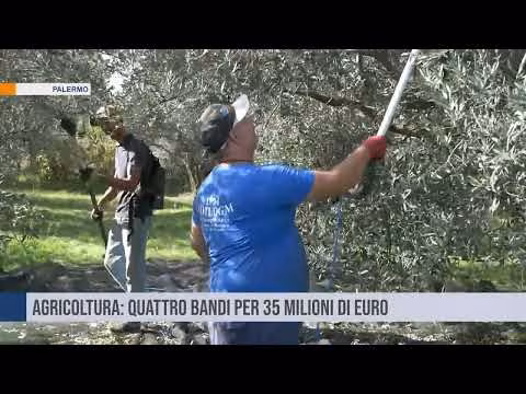 Agricoltura: dalla Regione quattro bandi per 35 milioni di euro