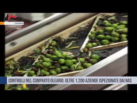 Catania. Controlli nel comparto oleario: oltre 1