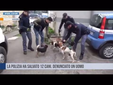 Niscemi. La Polizia ha salvato 12 cani
