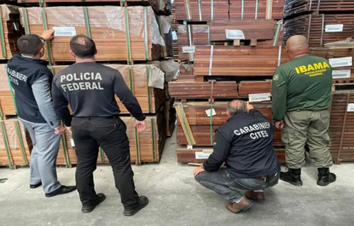 Operazione internazionale contro il traffico illegale di legname