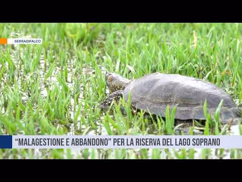 Una denuncia per la poca attenzione alla Riserva di Lago Soprano