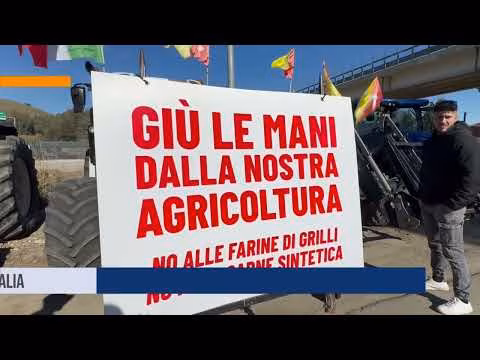 Continua la protesta degli agricoltori in tutta Italia