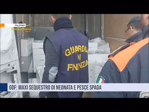 GdF: maxi sequestro di neonata e pesce spada a Palermo e Porticello