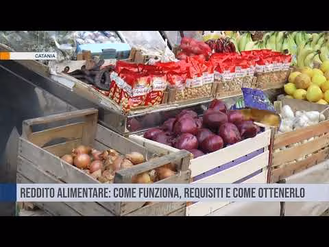 Reddito alimentare: come funziona, requisiti e come ottenerlo