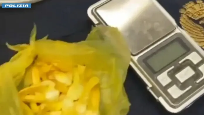 Bologna, spaccio nel centro cittadino