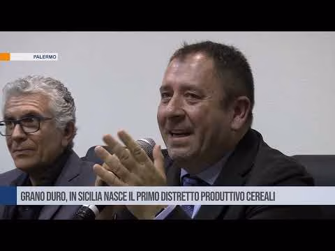 Grano duro, in Sicilia nasce il primo Distretto Produttivo Cereali