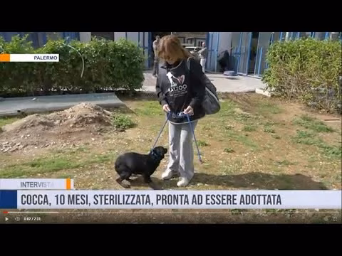 Cocca cerca amore ed una famiglia che la adotti