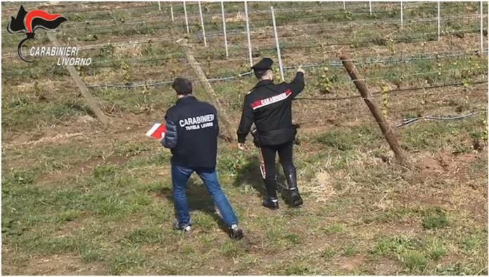 Ospiti Cas sfruttati nei campi, 10 arresti per Caporalato in Toscana