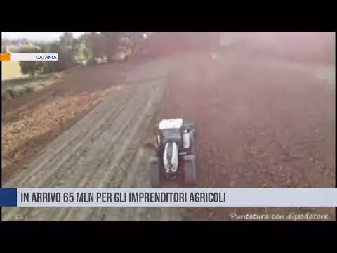 In arrivo 65 mln per gli imprenditori agricoli in Sicilia