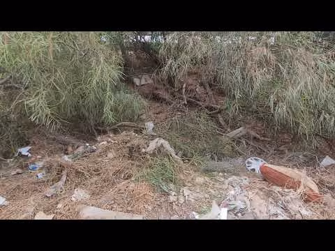 ๐ฉ๐ถ๐น๐น๐ฎ๐ฏ๐ฎ๐๐ฒ, ๐ฎ๐๐๐ผ ๐ฐ๐ผ๐ป๐๐ฟ๐ผ ๐บ๐๐ฟ๐ผ: ๐บ๐ผ๐ฟ๐๐ฎ ๐ฏ๐ถ๐บ๐ฏ๐ฎ ๐ฑ๐ถ ๐๐ฟ๐ฒ ๐ฎ๐ป๐ป๐ถ - ๐๐น๐น๐ฎ ๐ด๐๐ถ๐ฑ๐ฎ ๐ถ๐น ๐ฝ๐ฎ๐ฑ๐ฟ๐ฒ ๐๐ฏ๐ฟ๐ถ๐ฎ๐ฐ๐ผ ๐ฒ ๐๐ฒ๐ป๐๐ฎ ๐ฝ๐ฎ๐๐ฒ๐ป๐๐ฒ