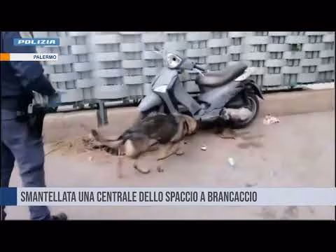 Palermo. Smerciavano crack, cocaina e hashish