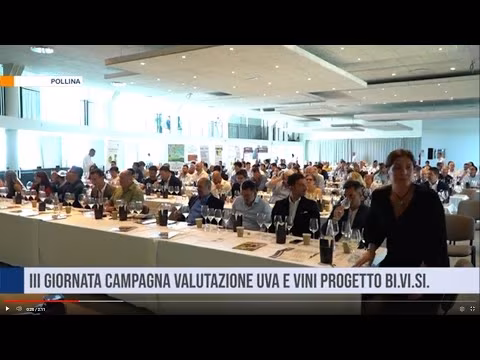Pollina. Terza giornata campagna valorizzazione uve e vini progetto BI.VI