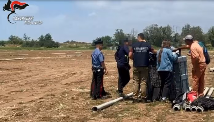 Blitz dei Carabinieri contro il Caporalato, il 53% delle aziende irregolari