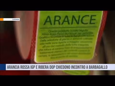 I consorzi Arancia Rossa IGP e Ribera Dop chiedono incontro a Barbagallo
