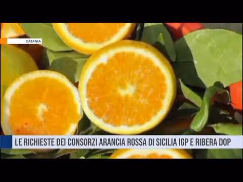 Le richieste dei consorzi Arancia Rossa di Sicilia IGP e Ribera Dop